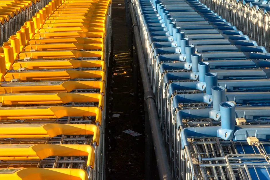 Rows of shopping carts lined up outside a grocery store